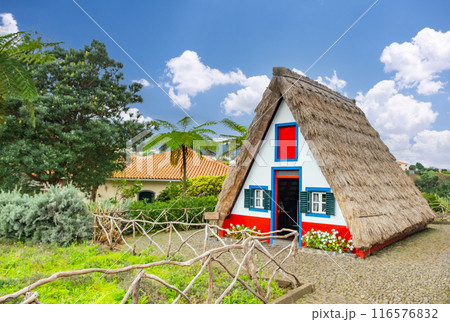 Traditional hut houses and garden of Madeira in village Santana. Sunny day in Portugal, tourist destination 116576832