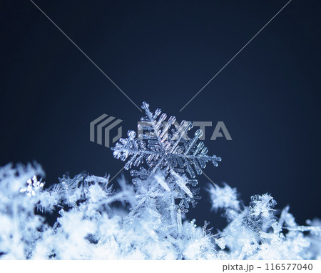 snowflake, little snowflake on the snow 116577040