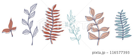 vector contour branch and leaves for harvest festival poster. Elegant silhouette and outline element in trendy pastel colors. hand drawn botanical illustration for wedding design, cards, logo, tattoo vector contour branch and leaves for harvest festival poster. Elegant silhouette and outline element in trendy pastel colors. hand drawn botanical illustration for wedding design, cards, logo, tattoo 116577393