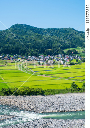 信濃川の展望地(新潟県津南町) 信濃川の展望地(新潟県津南町) 116577852