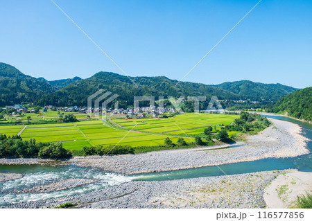 信濃川の展望地(新潟県津南町) 信濃川の展望地(新潟県津南町) 116577856