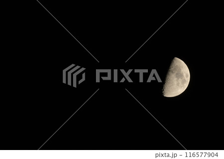 月齢8.0、皐月上弦後の月 116577904