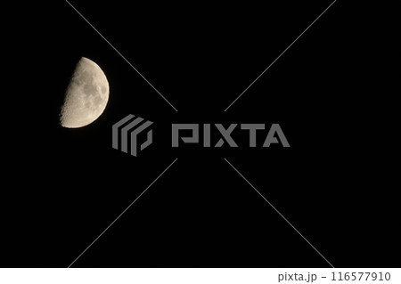 月齢8.0、皐月上弦後の月 116577910