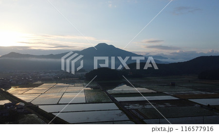 水田に映える日野山 水田に映える日野山 116577916