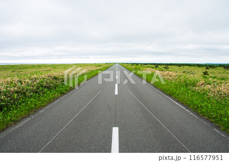 草原の直線道路・エヌサカ線 草原の直線道路・エヌサカ線 116577951