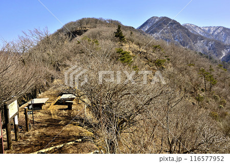 丹沢 大室山の犬越路より眺める丹沢主稜の大笄と檜洞丸 丹沢 大室山の犬越路より眺める丹沢主稜の大笄と檜洞丸 116577952