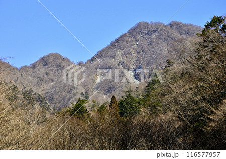 丹沢の大室山 犬越路南コース 用木沢より小笄と大笄を望む 丹沢の大室山 犬越路南コース 用木沢より小笄と大笄を望む 116577957