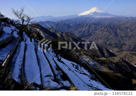 丹沢山地の檜洞丸からの眺望　富士山と西丹沢の山並 116578122