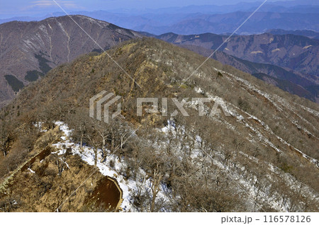 丹沢山地の檜洞丸からの眺望　雪の丹沢主脈の大室山と熊笹ノ峰 116578126