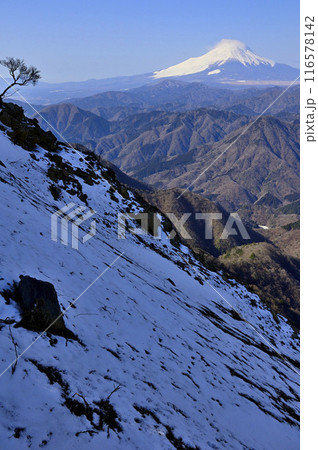 丹沢山地の檜洞丸より　厳冬の富士山と稜線に積もる雪 116578142