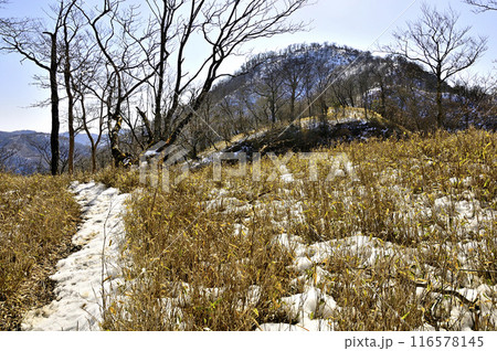 雪の丹沢主稜　熊笹ノ峰より檜洞丸を望む 116578145