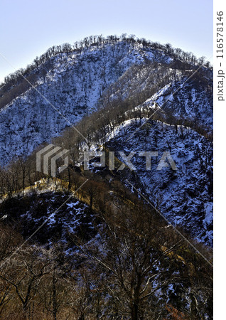 雪の丹沢主稜 熊笹ノ峰より檜洞丸を望む 雪の丹沢主稜 熊笹ノ峰より檜洞丸を望む 116578146