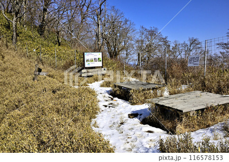 丹沢の熊笹ノ峰 雪のヤタ尾根出合 丹沢の熊笹ノ峰 雪のヤタ尾根出合 116578153