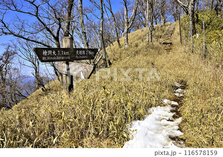丹沢主稜の縦走路 熊笹ノ峰のヤタ尾根出合 丹沢主稜の縦走路 熊笹ノ峰のヤタ尾根出合 116578159