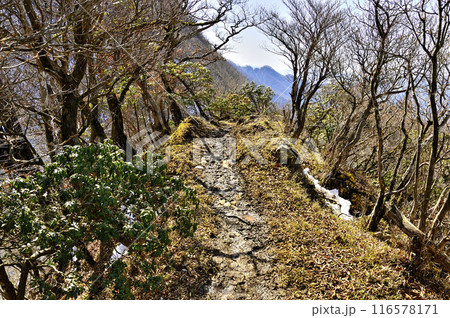 丹沢山地　丹沢主稜の小笄山頂 116578171