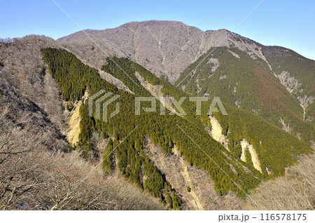 山梨百名山の大室山　西丹沢の小笄より 116578175