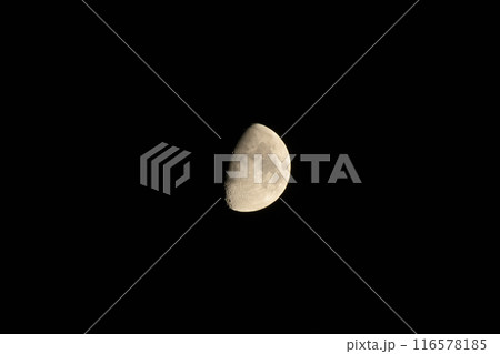 月齢9.0、皐月の月 116578185