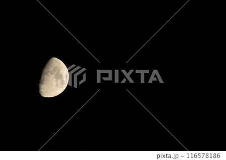 月齢9.0、皐月の月 116578186