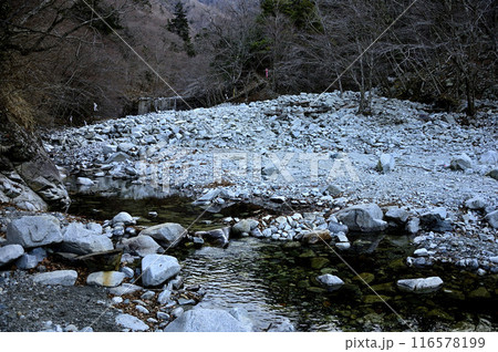 丹沢の檜洞丸　朝の冷たい色をしたゴーラ沢出合の登山道 116578199