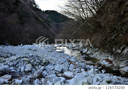 丹沢の檜洞丸　朝の冷たい色をしたゴーラ沢出合の登山道 116578200