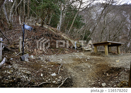 丹沢の檜洞丸 つつじ新道の展望園地の休憩所 丹沢の檜洞丸 つつじ新道の展望園地の休憩所 116578202