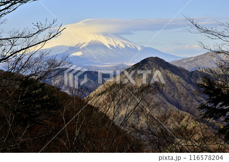 丹沢の檜洞丸　つつじ新道の展望園地より眺める冬の朝の富士山 116578204