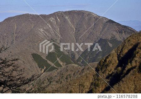 丹沢の檜洞丸より　朝日を浴びる山梨百名山の大室山 116578208