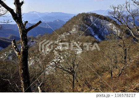 丹沢の檜洞丸より望む雪のテシロノ頭 丹沢の檜洞丸より望む雪のテシロノ頭 116578217