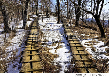 丹沢の檜洞丸より　雪の石棚山稜　木道は続く 116578220