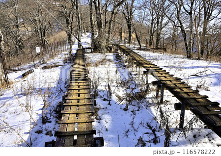 丹沢の檜洞丸より　雪の石棚山稜　山頂に向かう木道 116578222
