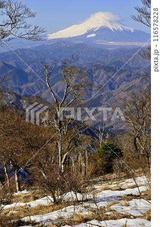 丹沢の檜洞丸より　雪の石棚山稜と雲被る富士山 116578228