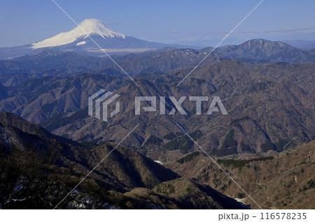 丹沢山地の檜洞丸からの眺望　富士山と西丹沢の山並 116578235