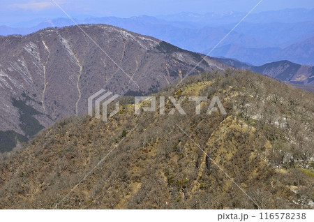 丹沢山地の檜洞丸からの眺望　丹沢主脈の大室山と熊笹ノ峰 116578238