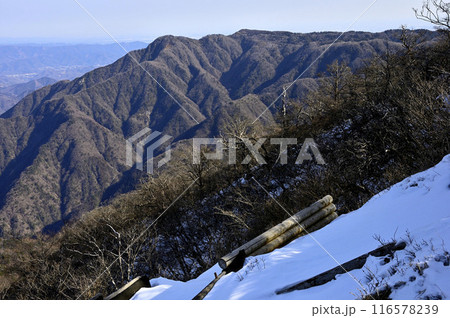 丹沢山地の檜洞丸からの眺望 冬の袖平山と姫次を望む 丹沢山地の檜洞丸からの眺望 冬の袖平山と姫次を望む 116578239