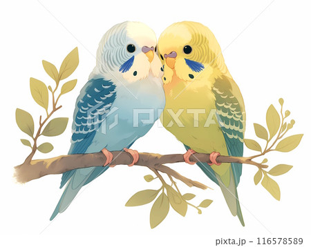 挿絵風の2羽の仲良しセキセイインコ 116578589