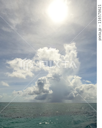 夏雲、積乱雲 夏雲、積乱雲 116578621