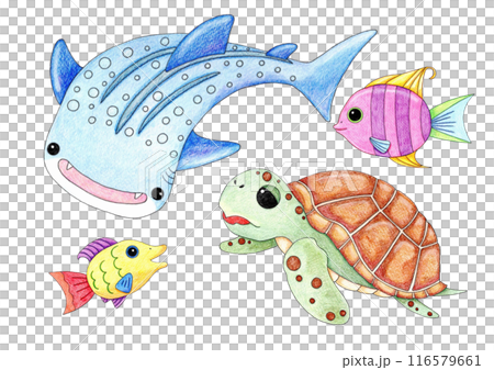 A set of gentle fish illustrations 116579661