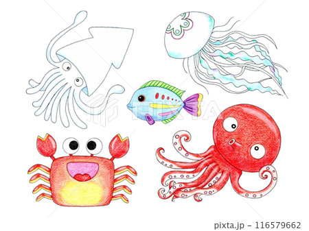 優しいタッチの魚のイラストセット 116579662