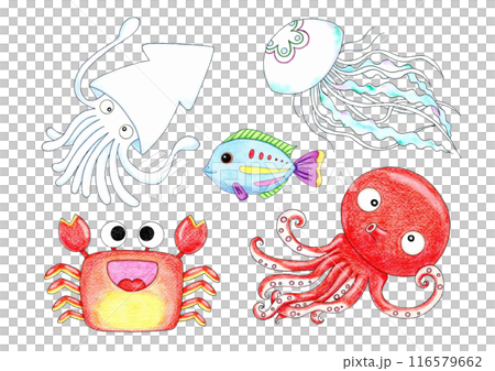 優しいタッチの魚のイラストセット 116579662