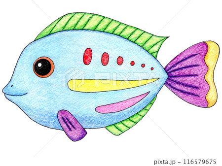 カラフルな魚のイラスト カラフルな魚のイラスト 116579675