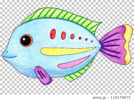 カラフルな魚のイラスト カラフルな魚のイラスト 116579675