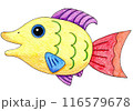 カラフルな魚のイラスト 116579678