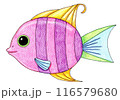 カラフルな魚のイラスト 116579680