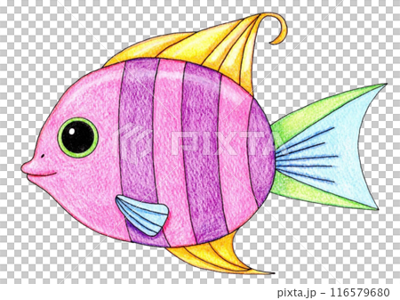カラフルな魚のイラスト 116579680