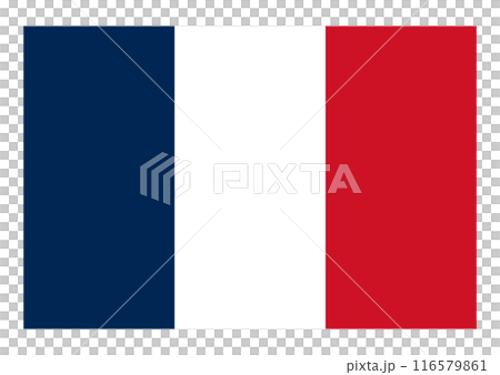 Flag France 116579861