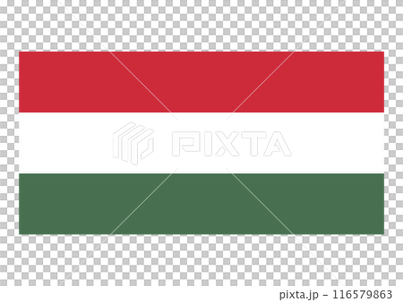 Flag Hungary 116579863