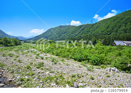 清津川　大島橋からの眺め　山・河原の風景　新潟県湯沢町　 116579954