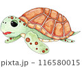リアルなカメのイラスト 116580015