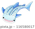 優しいタッチのジンベイザメのイラスト 116580017