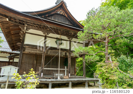 滋賀県東近江市 新緑の百済寺本坊の正面 滋賀県東近江市 新緑の百済寺本坊の正面 116580120